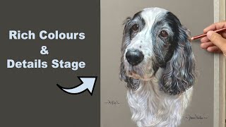 Pet Pastel Portrait of Alfie | Easy Way to Mix Colours and add Details ~ Part 2 Narrated