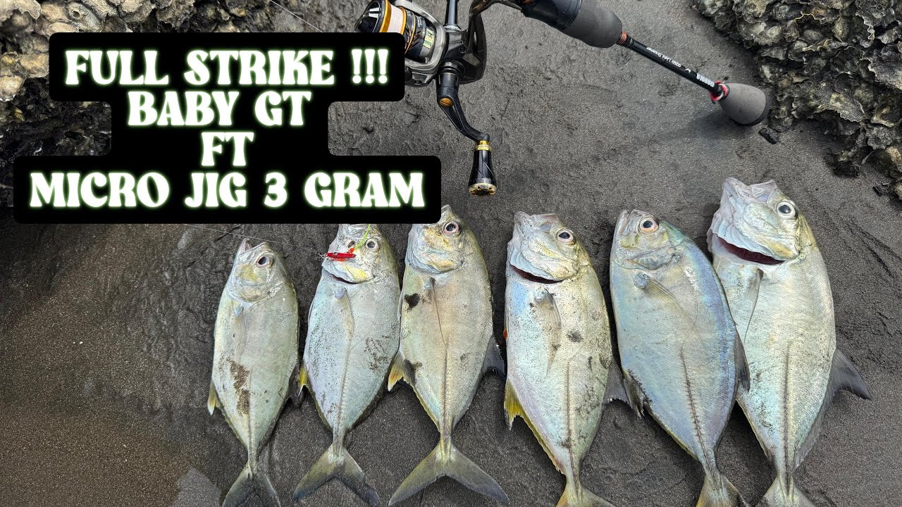 LEMPAR UMPAN LANGSUNG STRIKE‼️MANCING DI WAKTU YANG TEPAT‼️CASTING FULL STRIKE‼️BABY GT BABON‼️