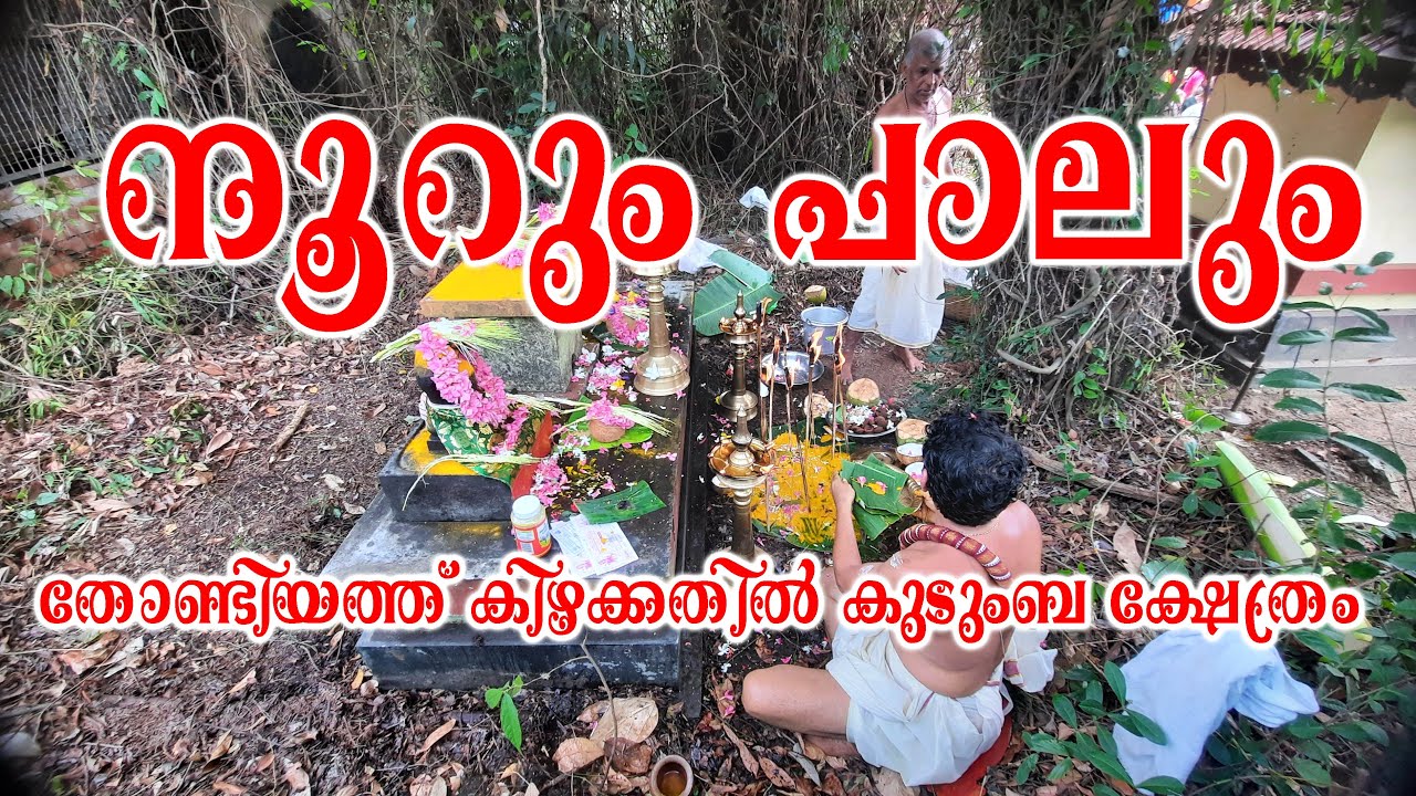 നൂറും പാലും -  തോണ്ടിയത്ത് കിഴക്കതിൽ കുടുംബ ക്ഷേത്രം വാർഷിക പൂജ - NOORUM PAALUM AT KUDUMBA TEMPLE