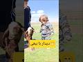 ببعی گوسفند بزغاله سام کوهستانی کوهستان طبیعت ویدیوکوتاه ویدیوفان کودک موطلایی بامزه