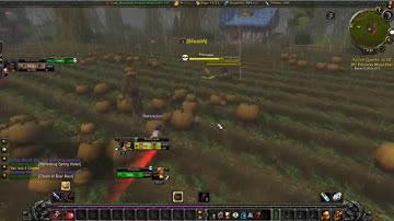 WoW Classic - Killing Princess -Ten Storms PvP server