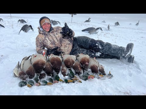 Duck Hunting In A Crazy Windy Blizzard! (Limits of Greenheads!)