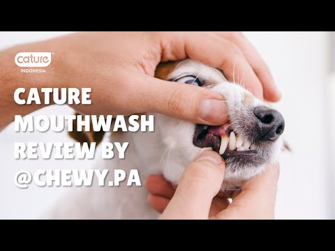 Cature - Mouthwash Bottle Review By @chewy.pa