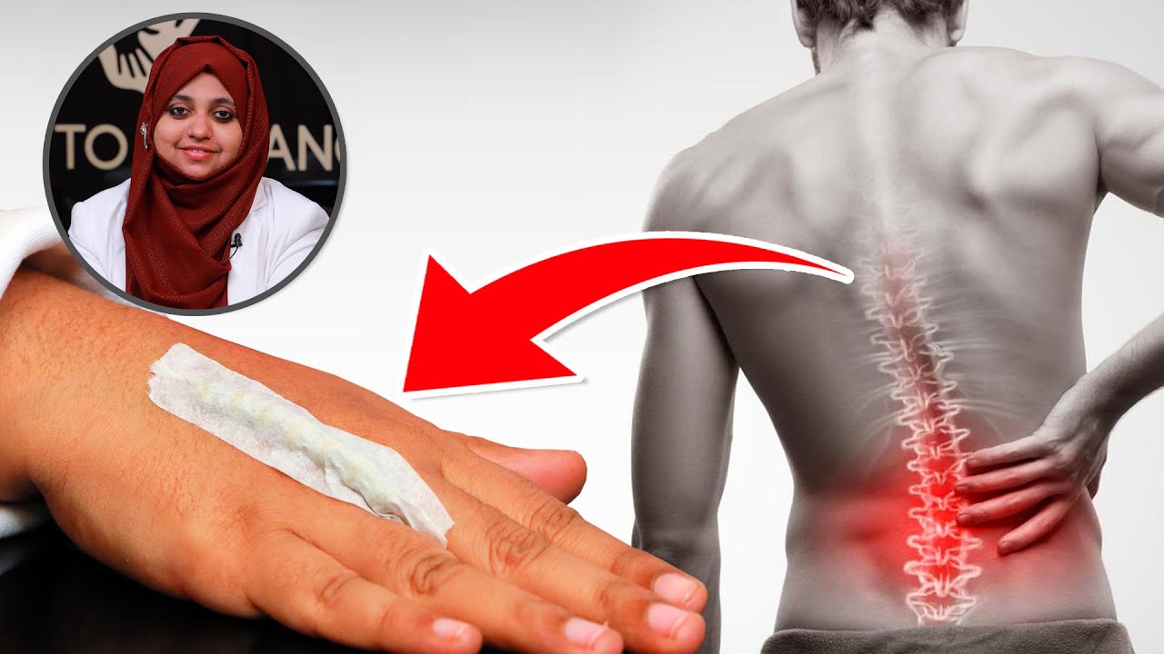 നടുവേദന ഇനി എളുപ്പത്തിൽ സുഖപ്പെടുത്താം. | DR.Zareena Jasmine Acupuncturist