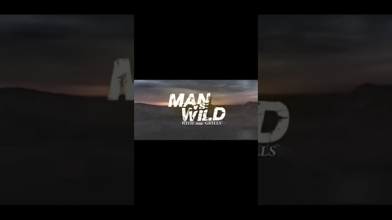 🐻கரடி Grills - Man Vs Wild Free Fire Version 