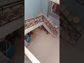 وهذا سيقت دروج حبوباتي وهذا سيقت دروج حبوباتي