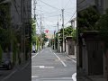 The Beauty of a Rainy Day in a Japanese Residential Neighborhood #shorts