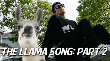 THE LLAMA SONG: PART 2