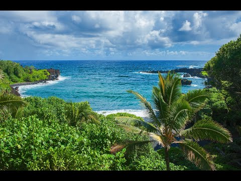 Beautiful Relaxing Music Relaxing Music Relaxing Piano Piano Collection  Nature Sounds