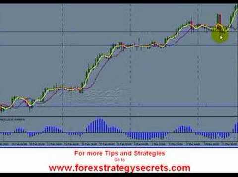 Dollar cost averaging forex trading