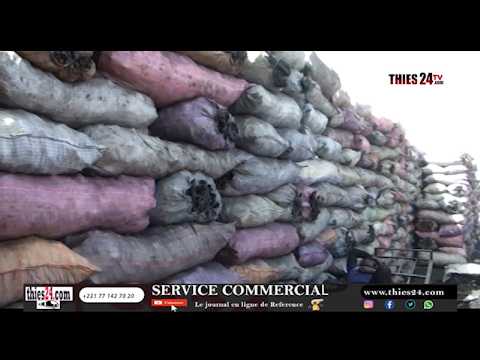 Thiès/ Récriminations des acteurs de la filière charbon de bois