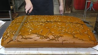 Jiggly Nuts Cake Cutting