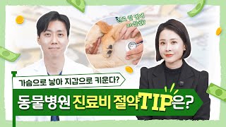 반려동물 병원비 때문에 걱정되는 보호자라면? | 동물병원 진료비 절약 방법!