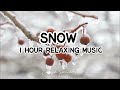 1 hour relaxing music  nature sounds  stress relief deep sleep  insomnia meditation studying