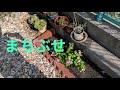 石川ひとみ/まちぶせ cover   +3
