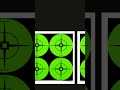 Best-seller: Birchwood Casey BC-33933 Target Spots in Green - 40 Count
