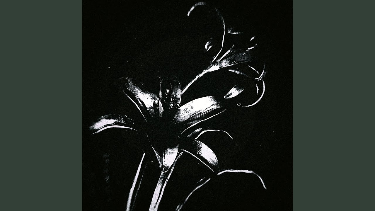 Παρακολούθηση hex στο YouTube Παρακολούθηση hex στο YouTube