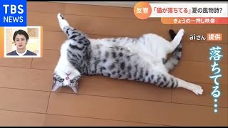 猫が落ちてる？【Nスタ】