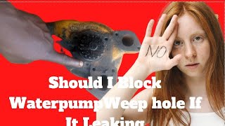 What Happens If You Plugs A Weep Hole.