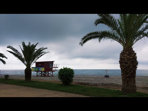 ვიდეო ემიგრანტებისთვის -  როგორია ბათუმში დღეს