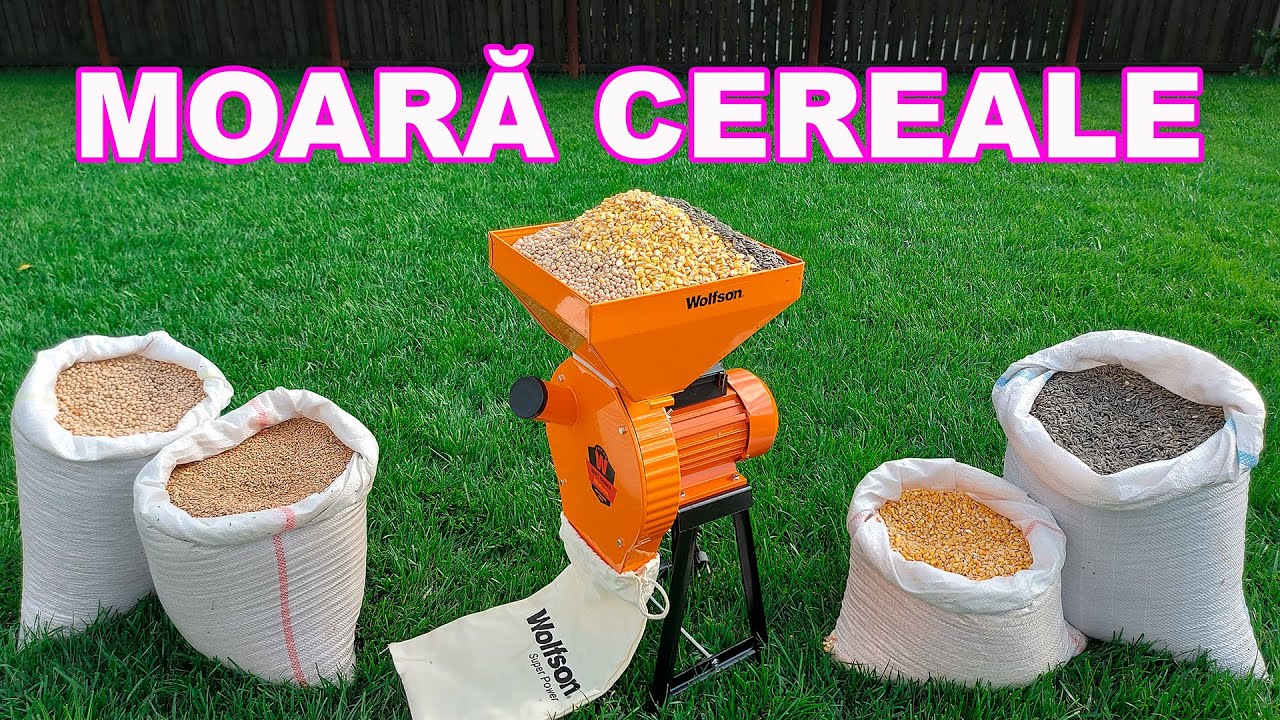 Moară cereale Wolfson cu suport metalic, 2700W, WFS0002 + accesorii furaje, fructe și legume