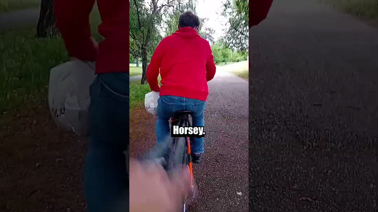 E Bike Battery EXPLODED While Riding Shorts Ebike Explosion