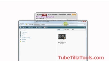 Free Flv to Wmv Converter - Best Flv to Wmv Convert