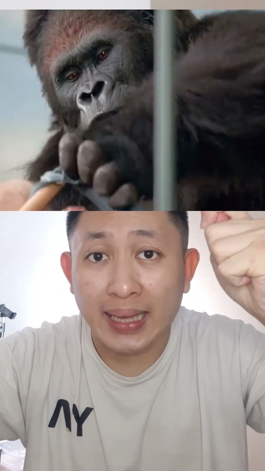 BOCIL DIMAKAN OTAKNYA GORILLA SAAT MASUK KEBUN BINATANG | Kaleb Andri #shorts #storytime