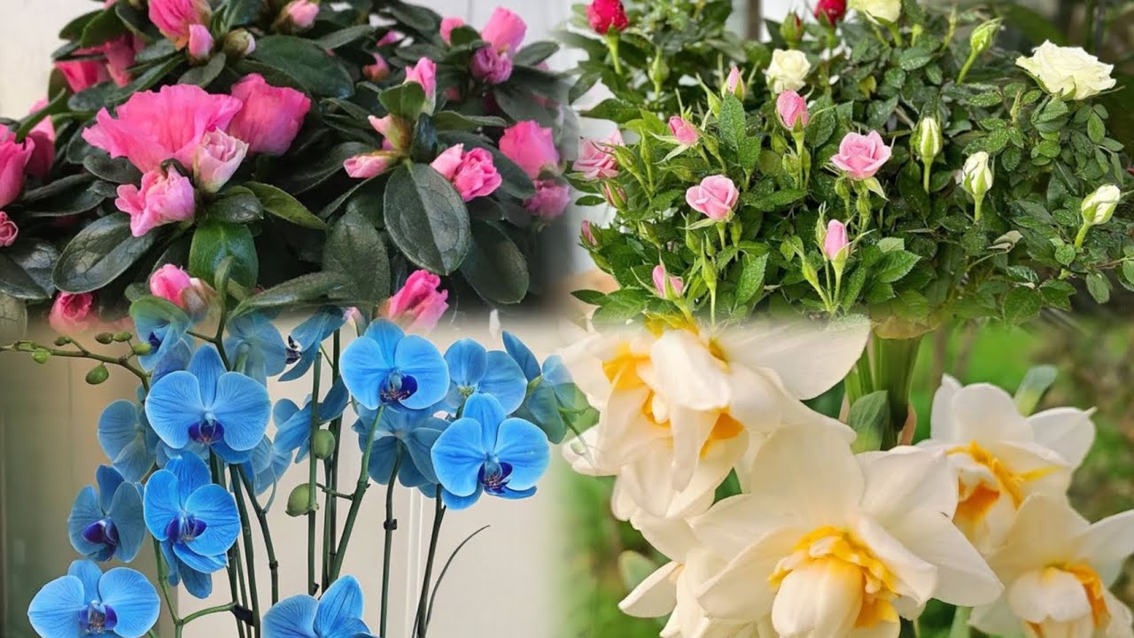 Böyük Endirim Kampaniyası Başladı! 🎊