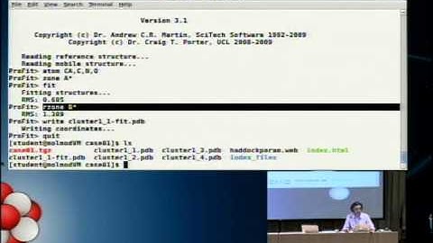 Demonstration of the WeNMR HADDOCK webportal (easy interface) by Prof. A. Bonvin