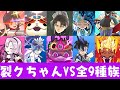 ぷにぷに HP204万のレディ裂クちゃんを無特効9種族攻略 ぷにぷに HP204万のレディ裂クちゃんを無特効9種族攻略
