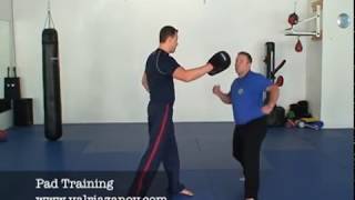 Good lesson in Martial Arts Pad Training