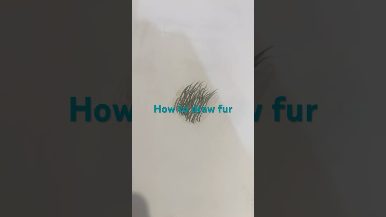 How to draw realistic animal fur 