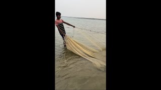 IMG 7315