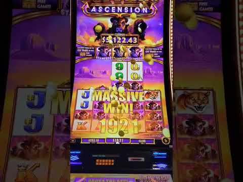 Miss Joker! Niesamowite 30 tysięcy z 1400zł