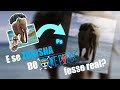 E se zunisha de one piece fosse real photoshop manipulation speedart