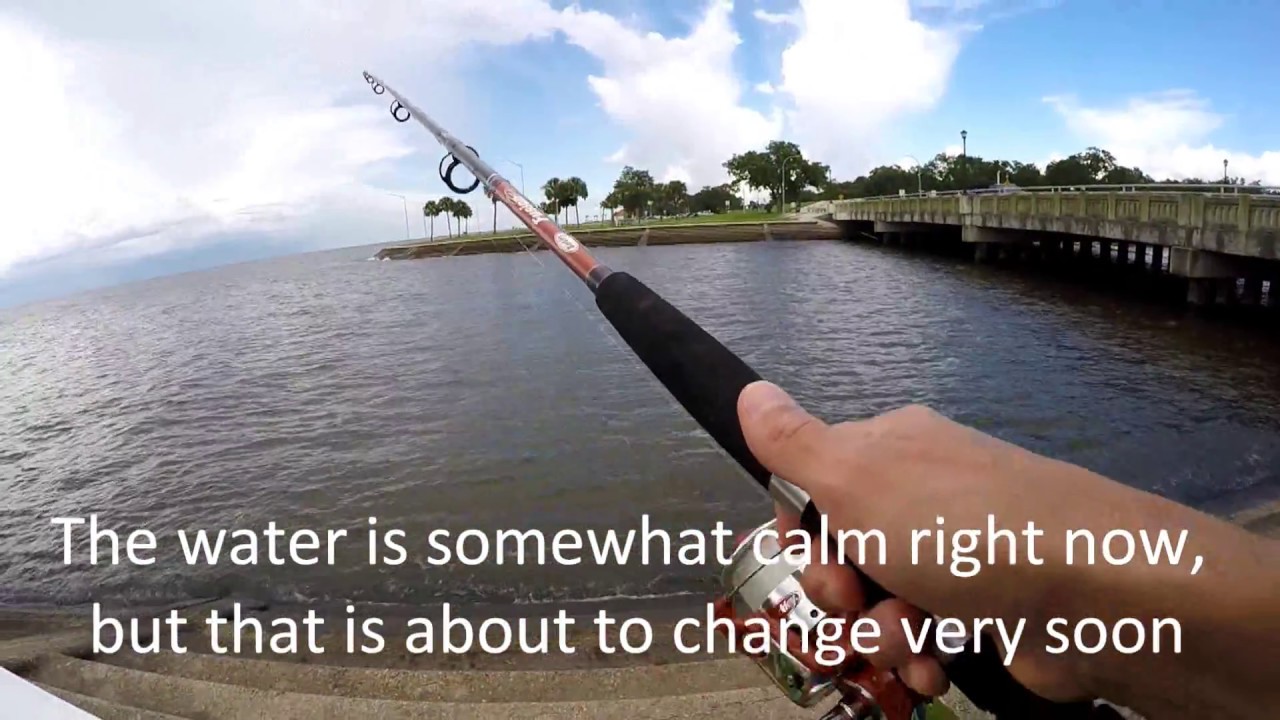 Alligator Gar fishing Lake Pontchartrain before Cindy YouTube