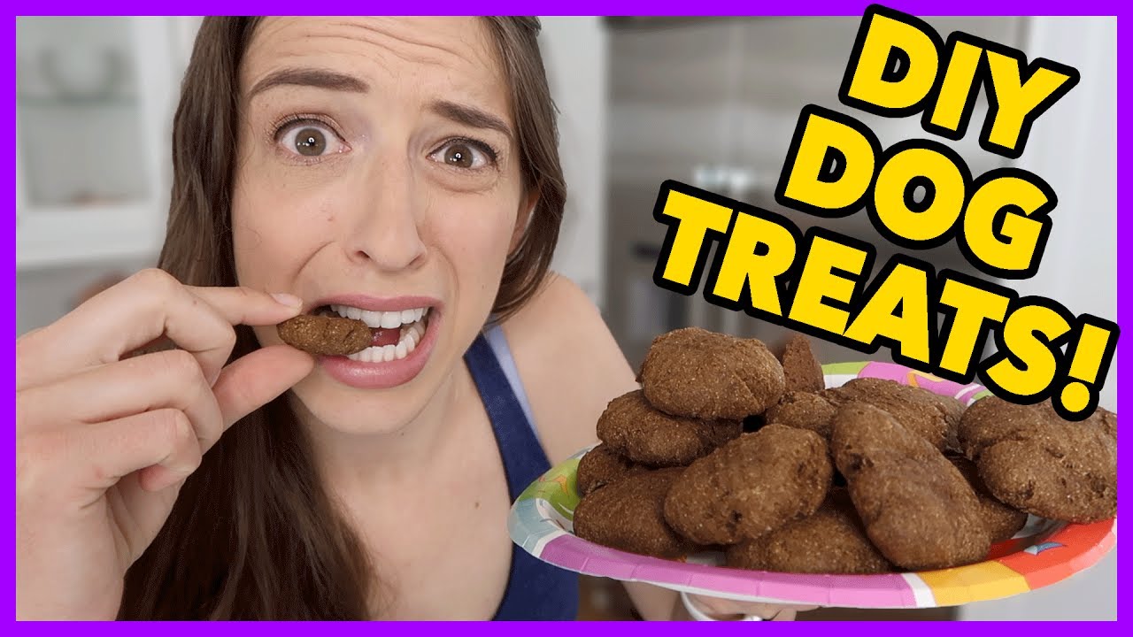 DIY Healthy Dog Treats!!! YouTube