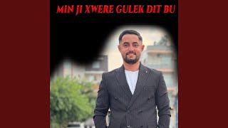 Min Ji Xwere Gulek Dit Bu (Segavi)