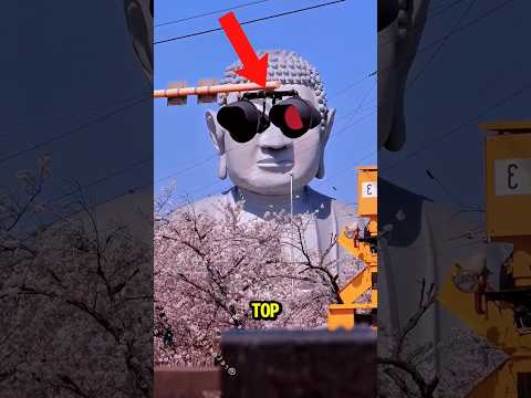 Top 5 Best Don T Trust Your Eyes Moments