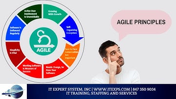 AGILE PRINCIPLE | Scrum Certification | PSM | CSM | Product Owner | Business Analyst | IT Expert