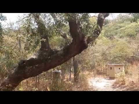 #Africa# Tanzania# Road  trip from Sumbawanga to kalambo water falls & Kasanga Beach ⛱ Rukwa 🇹🇿