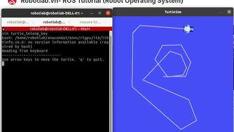 Học ROS Online: Bắt đâu với ROS- Nodes and Topics trong ROS- Turtlesim Node