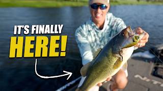 Every Bass In America Eats This Bait!
