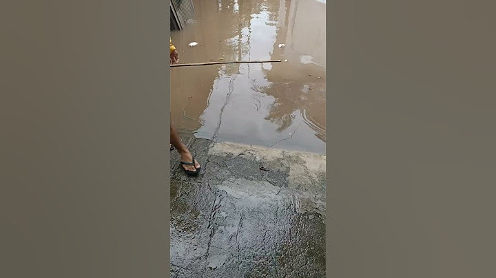 MANCING DI Depan RUMAH SAAT BANJIR BANYAK IKAN BESAR #shorts #viralvideo #viral #mancing #banjir