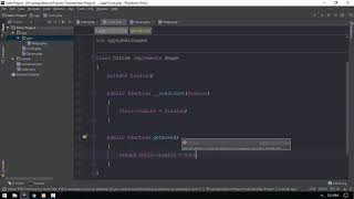 61 PolyMorphism 1