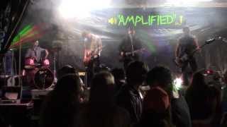 She's a Genius (Cover) - Live\/Amplified