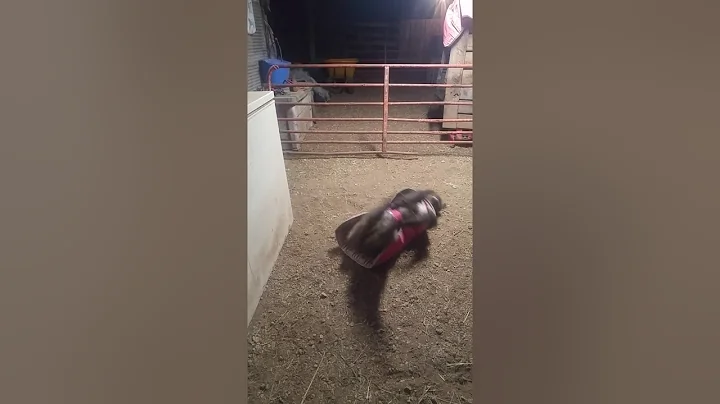 You think you have problems putting your kids to b...