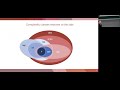 Jordi Weggemans (QuSoft) — Guidable Local Hamiltonian Problems and Implications*