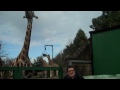 John Toal talks to the animals at Belfast Zoo